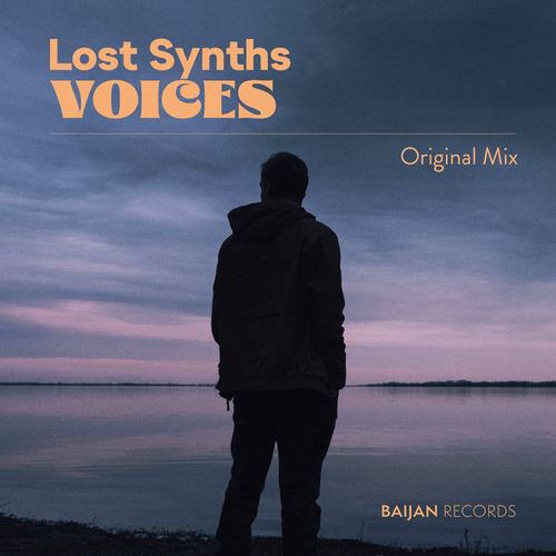 Lost Synths - Voices [BJN241]